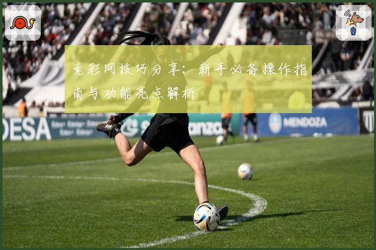 竞彩网技巧分享：新手必备操作指南与功能亮点解析