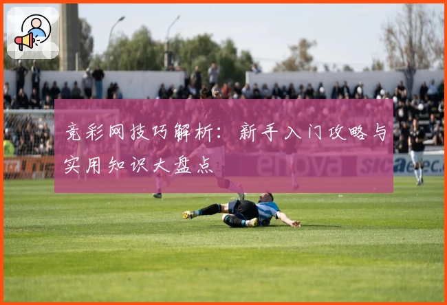 竞彩网技巧解析：新手入门攻略与实用知识大盘点